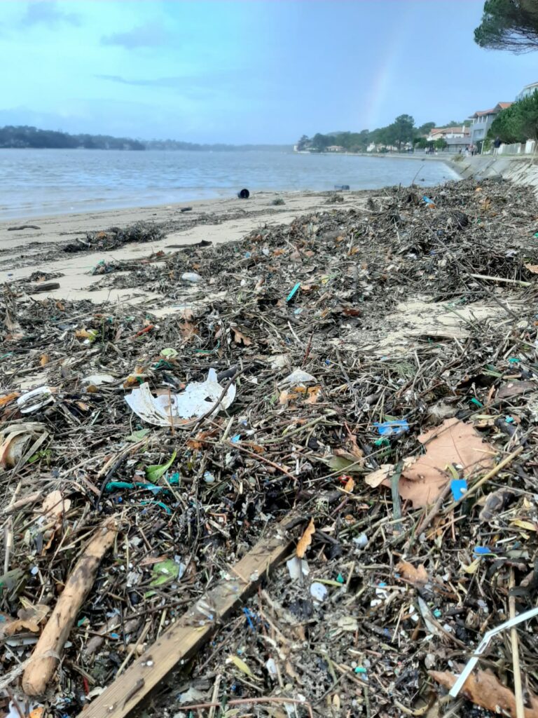 Photo d'un bord de lac couvert de déchets et détritus (plastiques, morceaux de bois ...)