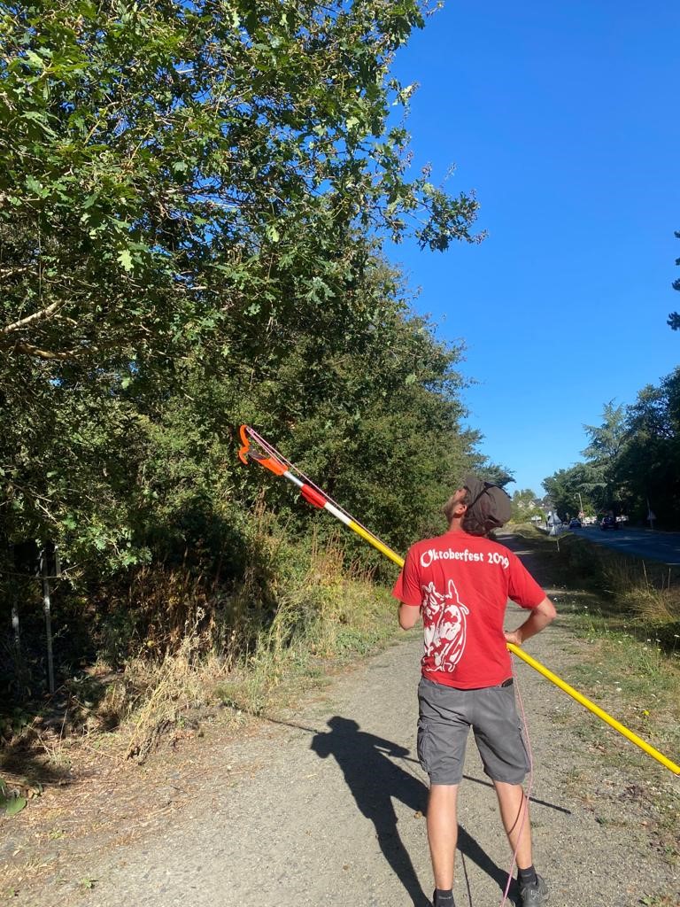 Le chercheur est en pleine récolte, il tient à la main un outil avec un long manche jaune.