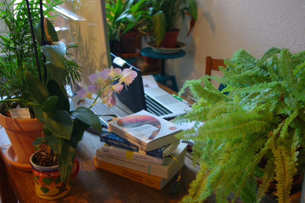 Bureau de la chercheuse en confinement, il est recouvert de plantes, de livres, d'un ordinateur portable et d'un écran.