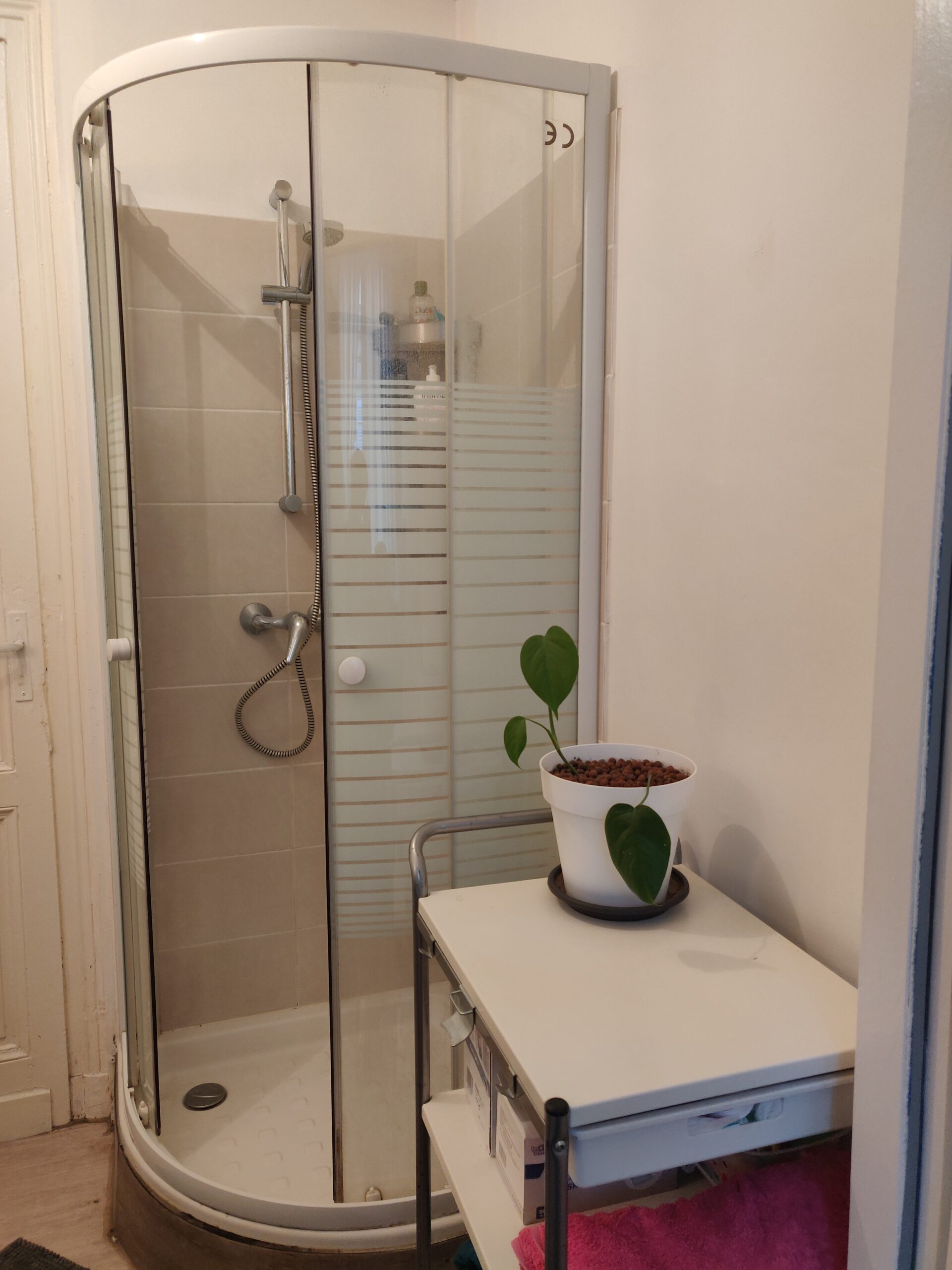 Photo d'une salle de bain. En arrière-plan, une douche, ouverte. Au premier plan, un meuble blanc, où est posé une plante verte dans son pot blanc.