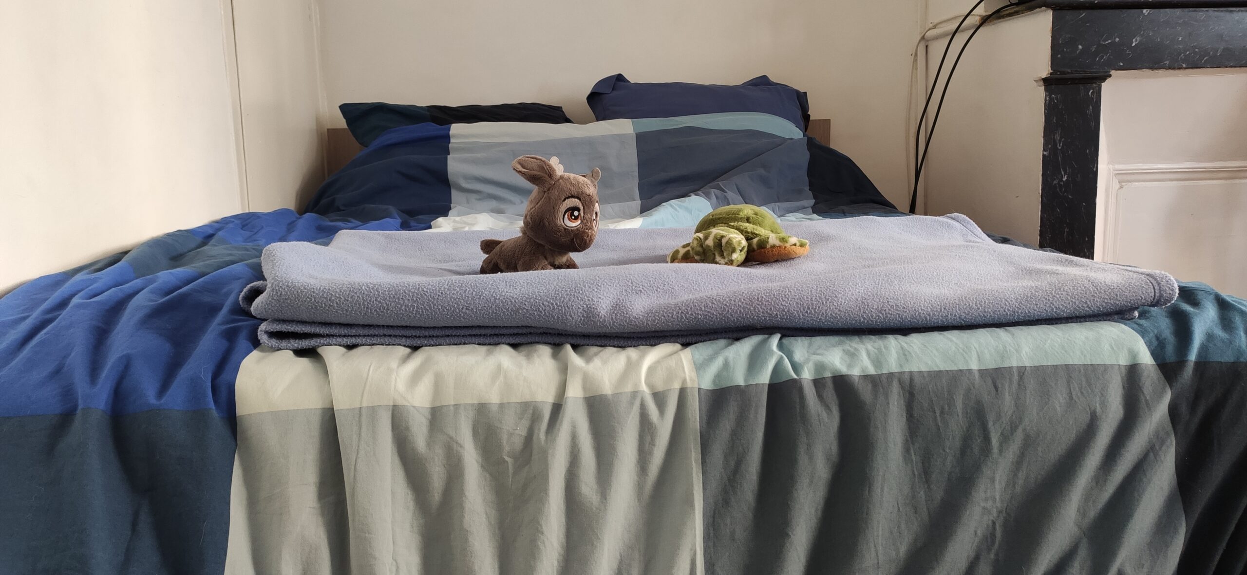 Un grand lit bleu, un plaid bleu. Une peluche de tortue verte et une peluche de bébé renne sont posés sur le lit.