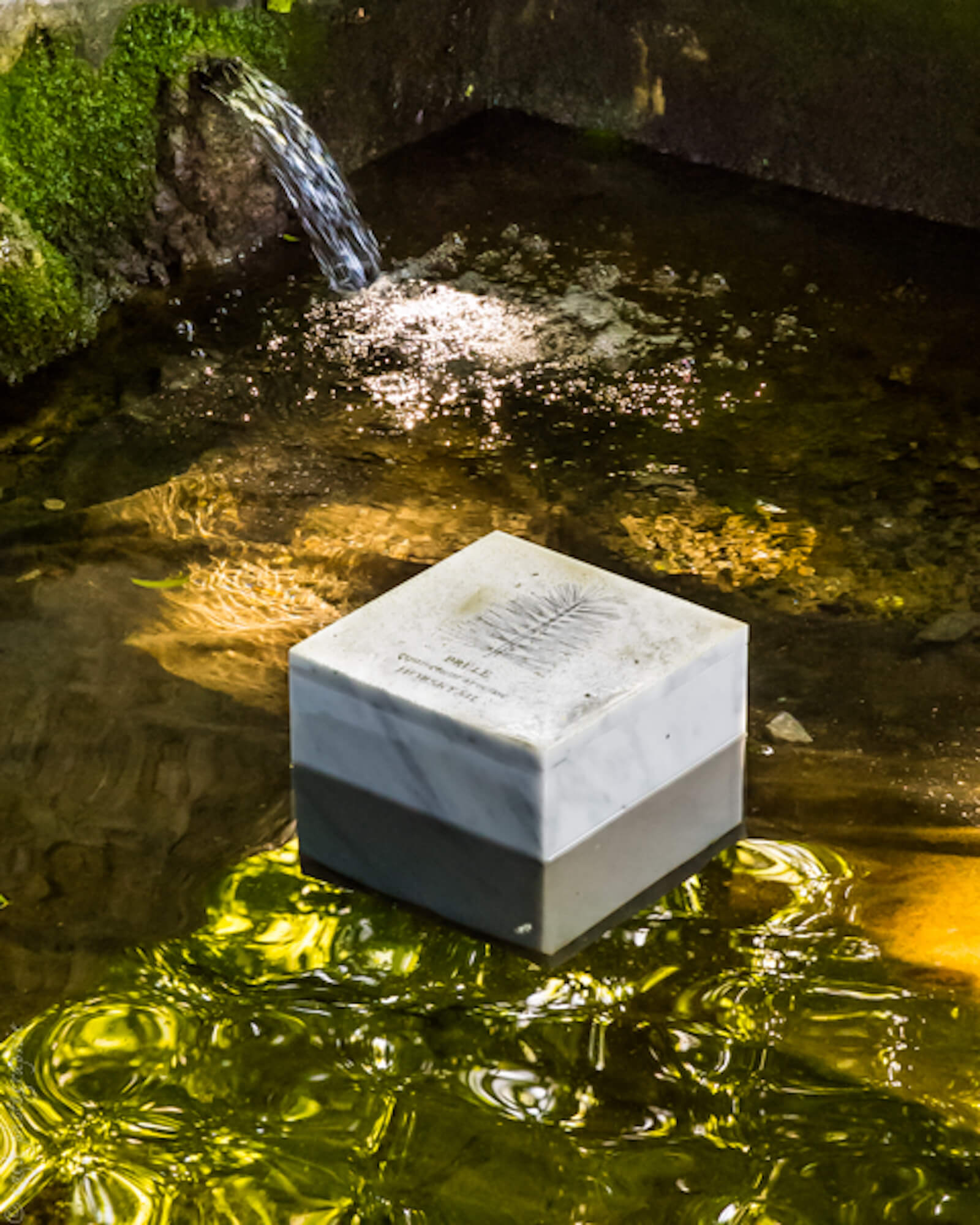 Bloc de marbre gravé posé dans l'eau d'un lavoir en pierre. L'eau reflète la verdure de la végétation.