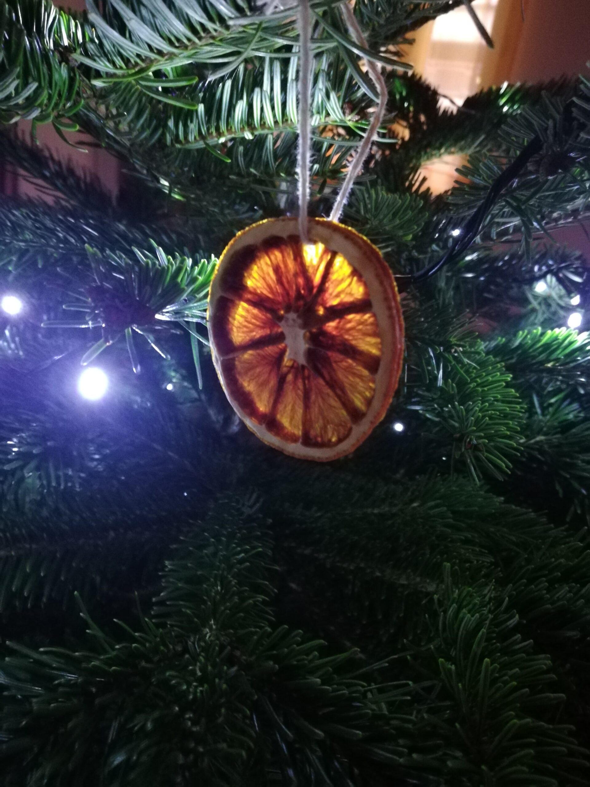 Entre les branches du sapin, une décoration faite main. Une tranche d'orange séchée.