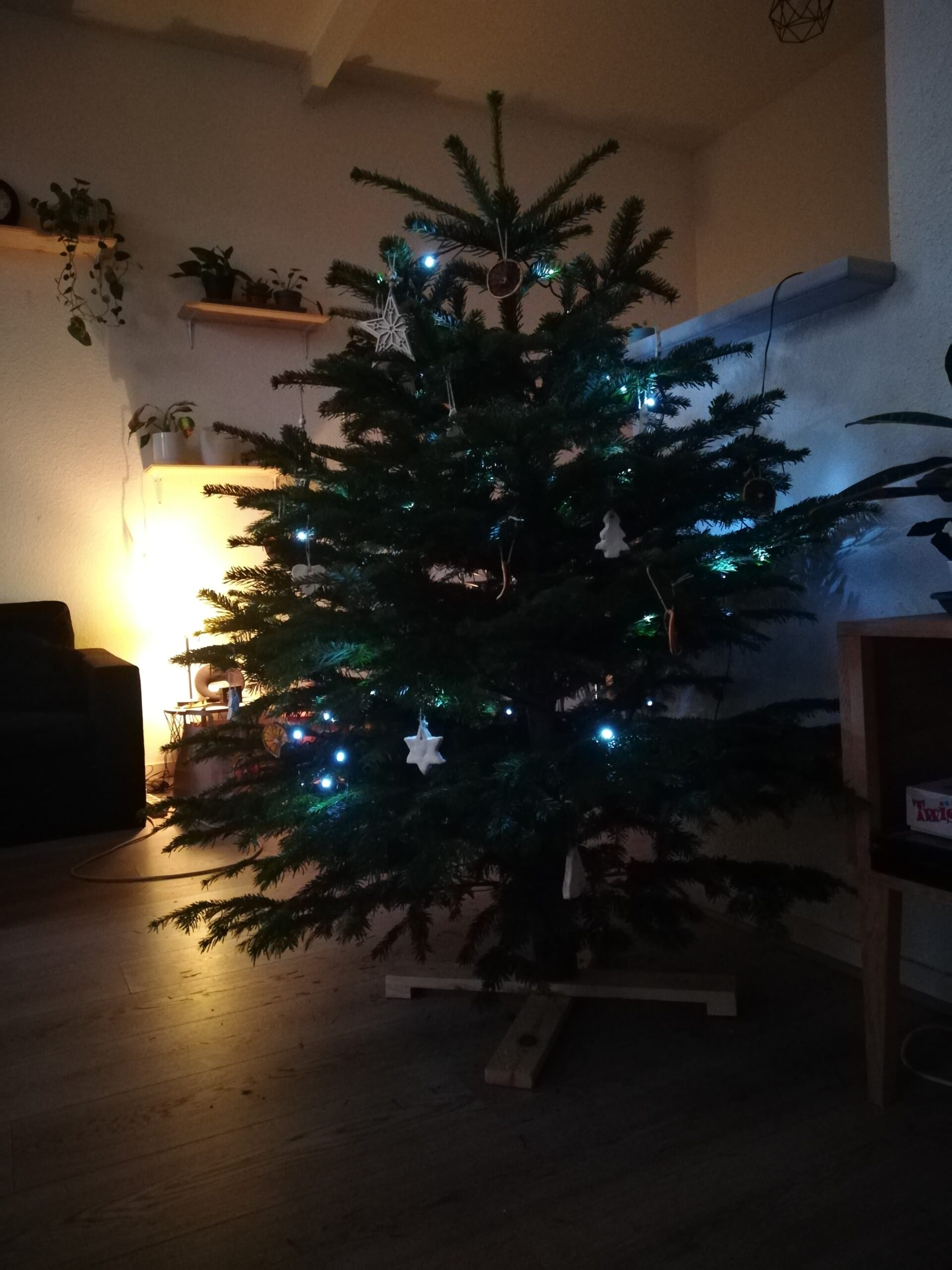 Un sapin de Noël tout décoré dans un salon avec une lumière tamisée.