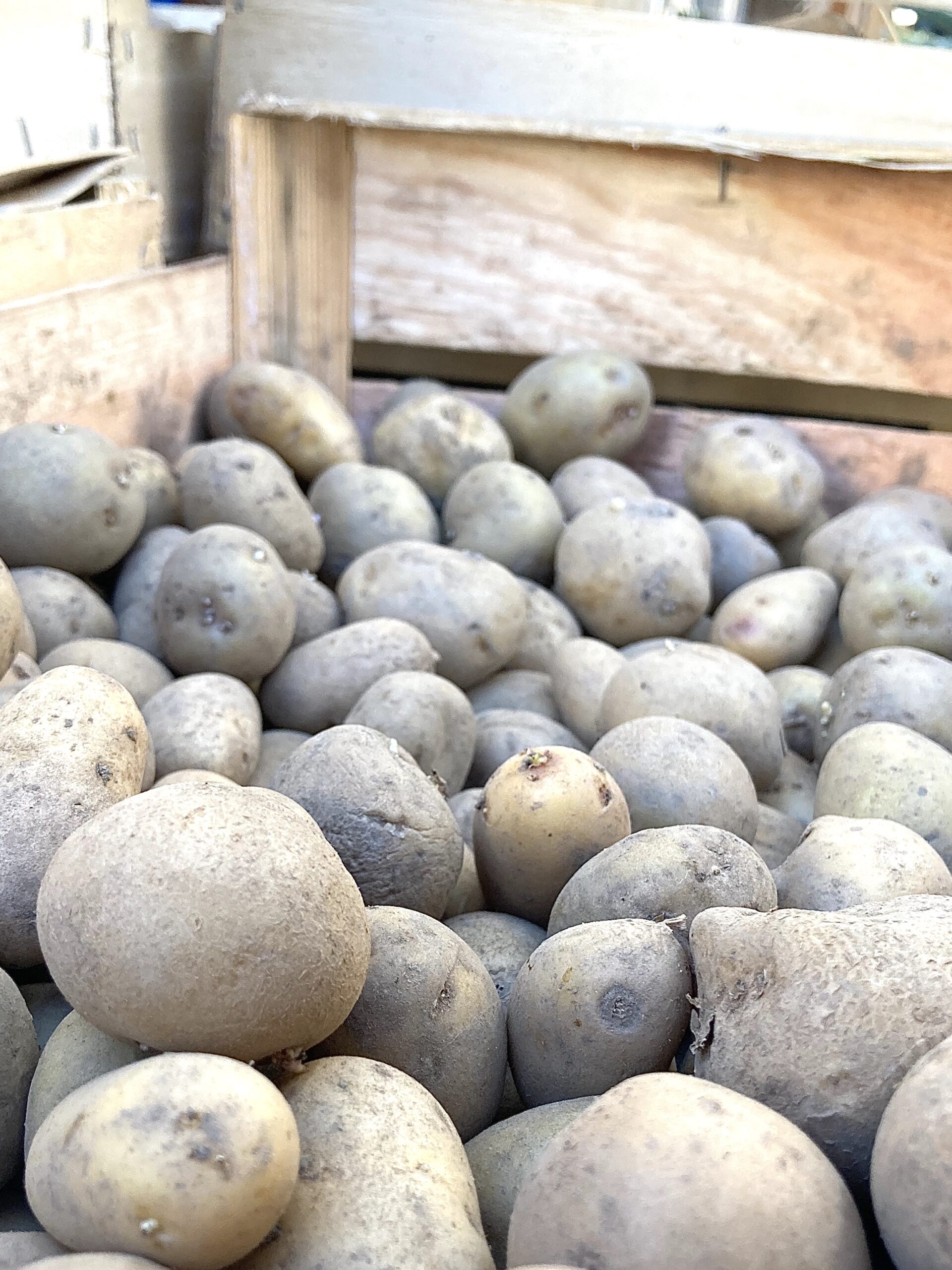 Zoom sur des pommes de terre dans une cagette