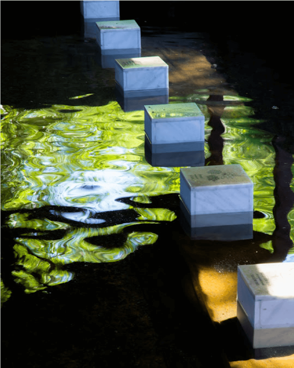 Six blocs de marbre gravés posés dans l'eau d'un lavoir. L'eau sombre reflète la verdure de la végétation.