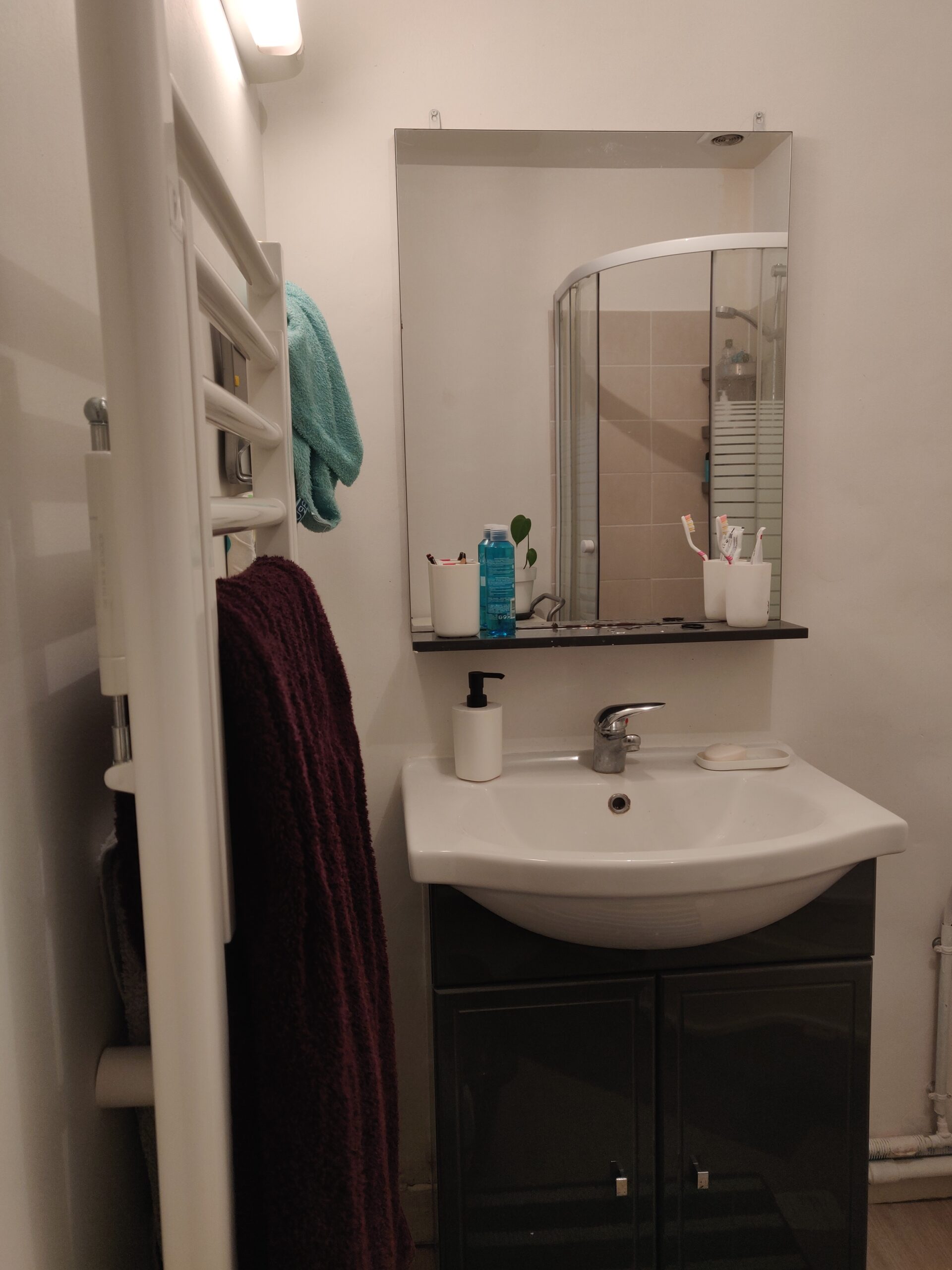 Vue sur une salle de bain. A gauche de la photo il y a un sèche serviette sur lequel se trouvent une serviette violette et bleue. Sur l'autre partie de la photo se trouvent un miroir, dans lequel se reflète la douche. En dessous de celui-ci se trouve un évier blanc, sur lequel est posé une bouteille de savon, blanche. En dessous ce trouve un meuble noir.