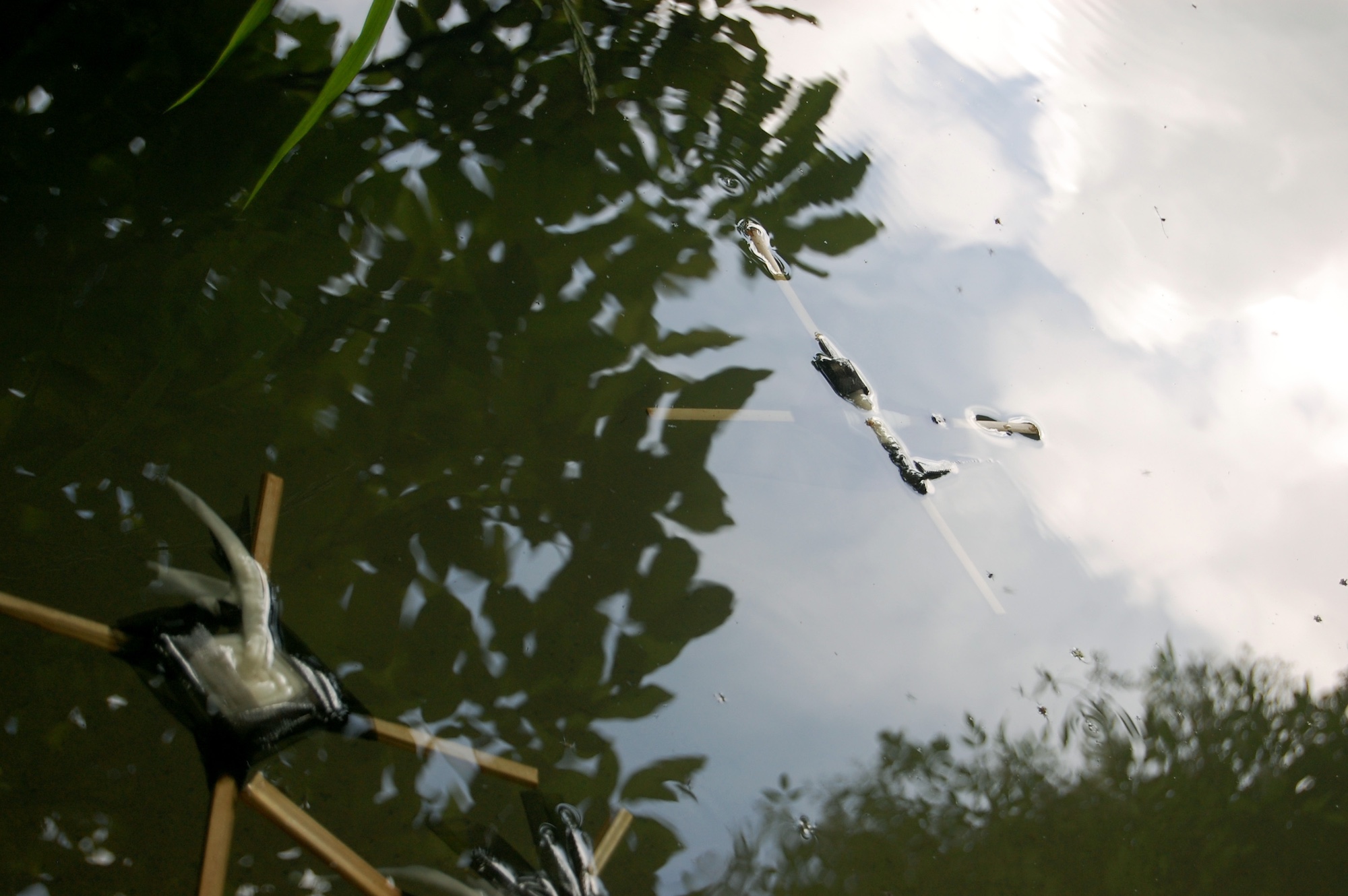 Éléments en bois et en tissus flottant sur de l'eau, qui reflète la végétation.