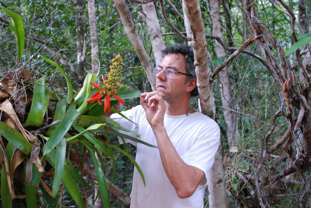 Bruno Corbara observe de près de longues feuilles d'arbre, tout près d'une grande fleur aux pétales rouges.