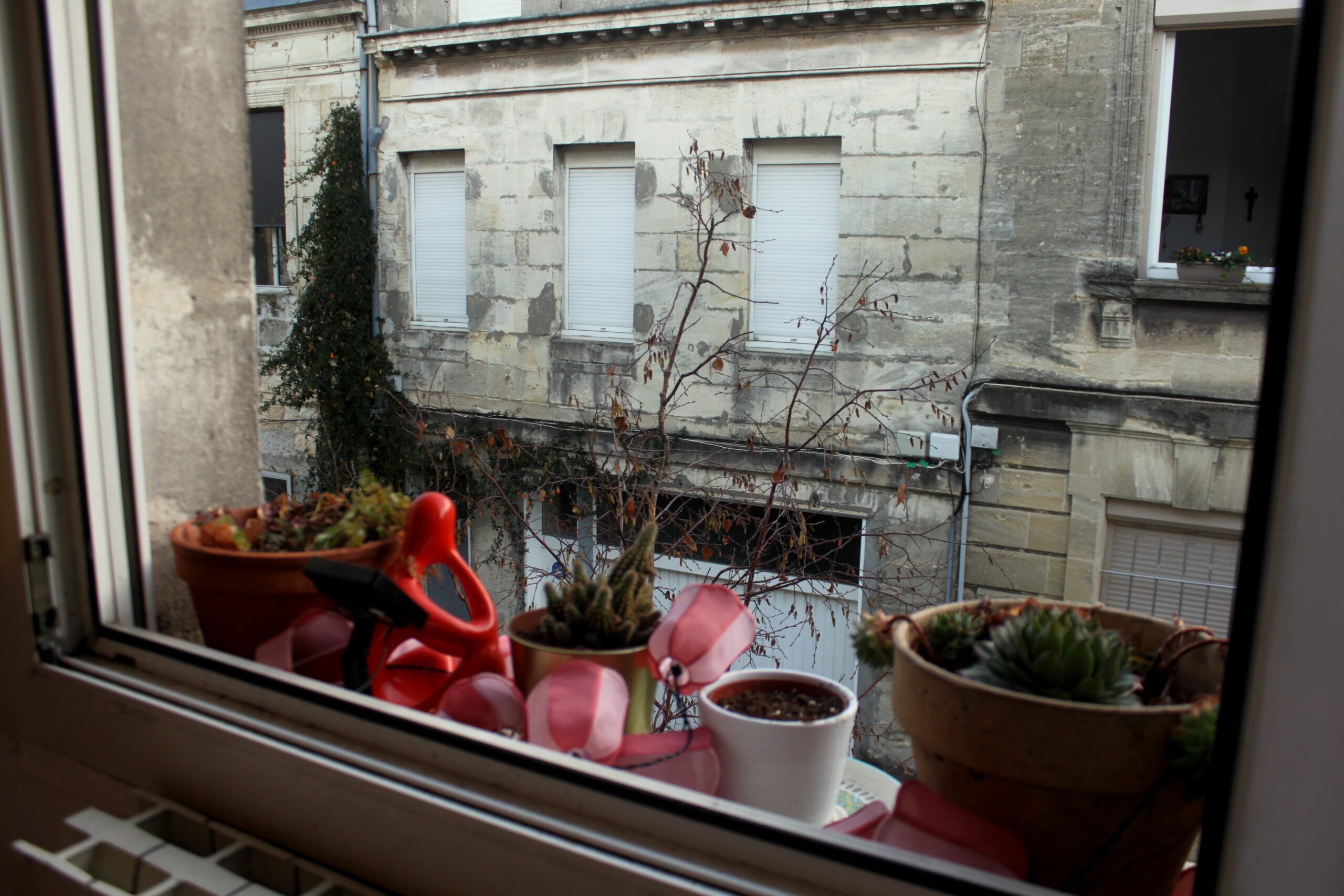 Une vue de l'extérieur de l'appartement. Il y a des plantes et des lumières sur le bord de la fenêtre. En face il y a un autre bâtiment. On peut voir dans une pièce des voisin·es.