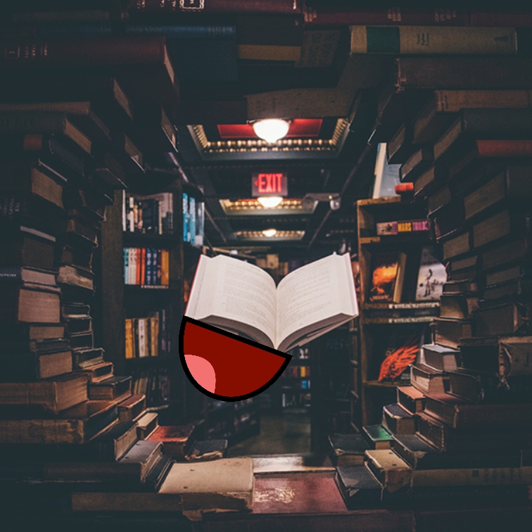 Dans un mur de piles de livres, un livre volant passe par par un trou formé par ce mur et se dirige vers la sortie de la bibliothèque.