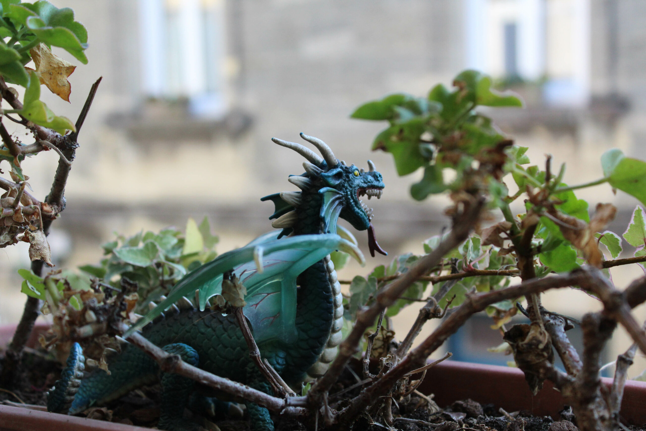 Dragon décoratif sur une jardinière où pousse du lierre.